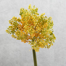 Load image into Gallery viewer, Aglaia Short Bunch Orange 28cm
