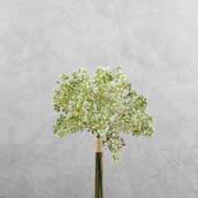 Load image into Gallery viewer, Aglaia Short Bunch White 28cm
