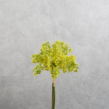 Load image into Gallery viewer, Aglaia Short Bunch Yellow 28cm
