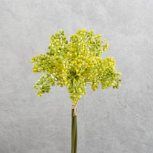 Load image into Gallery viewer, Aglaia Short Bunch Yellow 28cm
