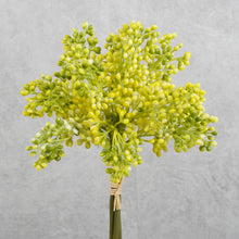 Load image into Gallery viewer, Aglaia Short Bunch Yellow 28cm
