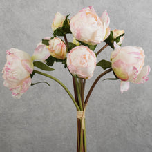 Load image into Gallery viewer, Peony 9 Heads Bunch Pink 40cm
