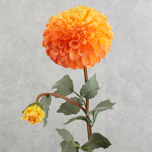 Load image into Gallery viewer, Dahlia Two Heads Orange 70cm
