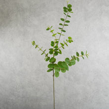 Load image into Gallery viewer, Eucalyptus Green 95cm
