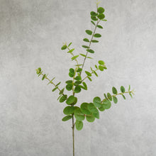 Load image into Gallery viewer, Eucalyptus Green 95cm
