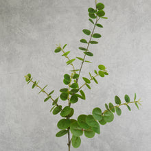 Load image into Gallery viewer, Eucalyptus Green 95cm
