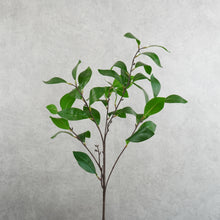 Load image into Gallery viewer, Milano Green 55cm
