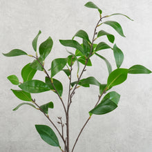 Load image into Gallery viewer, Milano Green 55cm
