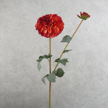 Load image into Gallery viewer, Dahlia Two Heads Red 70cm
