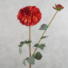 Load image into Gallery viewer, Dahlia Two Heads Red 70cm

