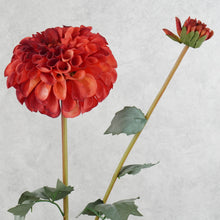 Load image into Gallery viewer, Dahlia Two Heads Red 70cm

