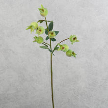 Load image into Gallery viewer, Rose Hip Pale Green 60cm
