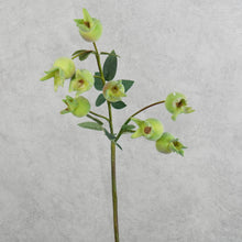 Load image into Gallery viewer, Rose Hip Pale Green 60cm
