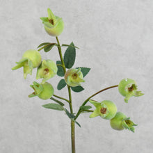 Load image into Gallery viewer, Rose Hip Pale Green 60cm
