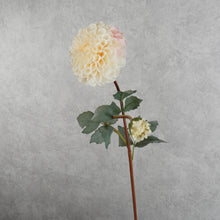 Load image into Gallery viewer, Dahlia Two Heads White 70cm
