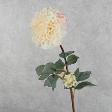Load image into Gallery viewer, Dahlia Two Heads White 70cm
