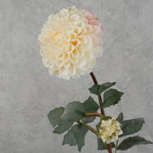 Load image into Gallery viewer, Dahlia Two Heads White 70cm
