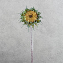 Load image into Gallery viewer, Sunflower Yellow 60cm
