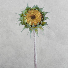 Load image into Gallery viewer, Sunflower Yellow 60cm
