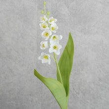 Load image into Gallery viewer, Lily of The Vally White 40cm
