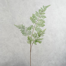 Load image into Gallery viewer, Fern Green 82cm
