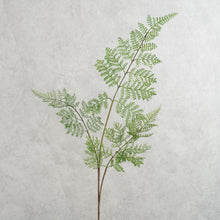 Load image into Gallery viewer, Fern Green 82cm
