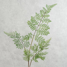 Load image into Gallery viewer, Fern Green 82cm
