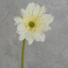 Load image into Gallery viewer, Gerbera White 63cm
