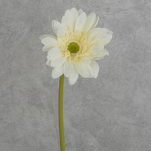 Load image into Gallery viewer, Gerbera White 63cm
