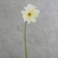 Load image into Gallery viewer, Gerbera White 63cm
