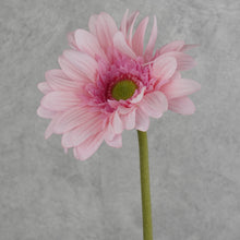 Load image into Gallery viewer, Gerbera Pink 63cm
