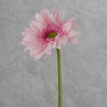 Load image into Gallery viewer, Gerbera Pink 63cm
