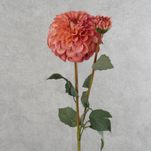 Load image into Gallery viewer, Dahlia Two Heads Coral 70cm
