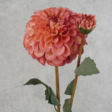 Load image into Gallery viewer, Dahlia Two Heads Coral 70cm
