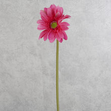 Load image into Gallery viewer, Gerbera Hot Pink 63cm
