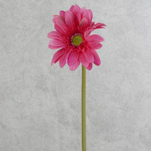 Load image into Gallery viewer, Gerbera Hot Pink 63cm
