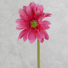 Load image into Gallery viewer, Gerbera Hot Pink 63cm
