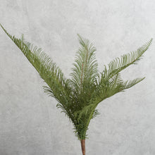 Load image into Gallery viewer, Fern Green 40cm
