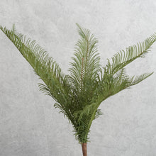 Load image into Gallery viewer, Fern Green 40cm
