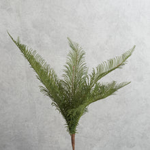 Load image into Gallery viewer, Fern Green 40cm
