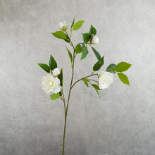 Load image into Gallery viewer, Camellia White 87cm
