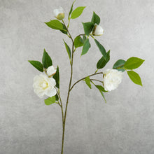 Load image into Gallery viewer, Camellia White 87cm
