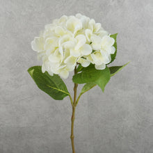 Load image into Gallery viewer, Hydrangea White 60cm
