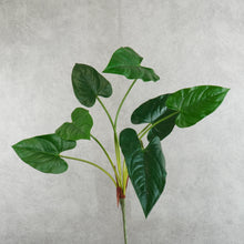 Load image into Gallery viewer, Anthurium Green 58cm
