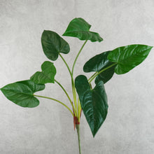 Load image into Gallery viewer, Anthurium Green 58cm
