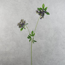 Load image into Gallery viewer, Lace Purple 67cm
