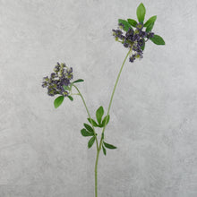 Load image into Gallery viewer, Lace Purple 67cm
