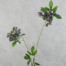 Load image into Gallery viewer, Lace Purple 67cm
