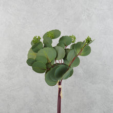 Load image into Gallery viewer, Eucalyptus Green 36cm
