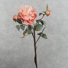 Load image into Gallery viewer, Peony 4 Heads Coral Red 58cm
